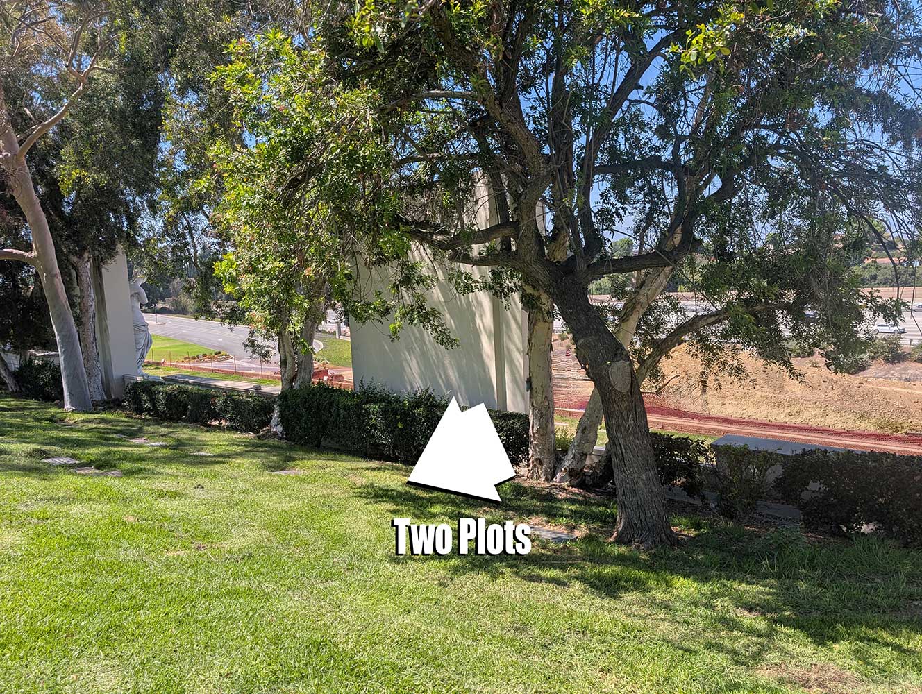 Two adjoining burial plots beneath the trees